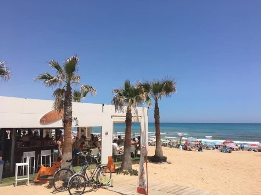 Brand New Apartment. 400 Meters Best Beach Torrevieja Eksteriør billede