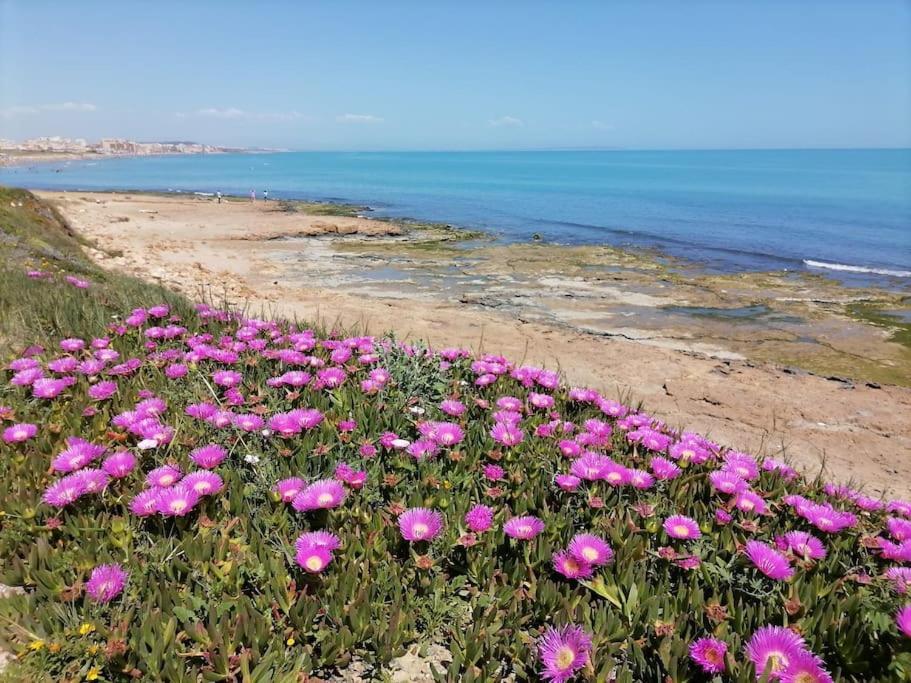 Brand New Apartment. 400 Meters Best Beach Torrevieja Eksteriør billede