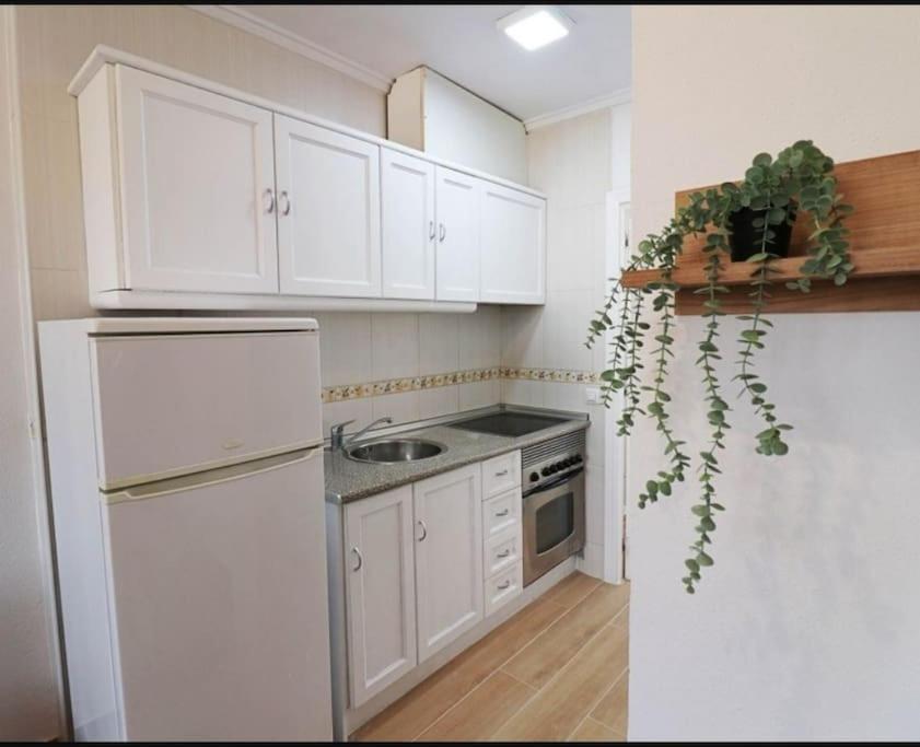 Brand New Apartment. 400 Meters Best Beach Torrevieja Eksteriør billede