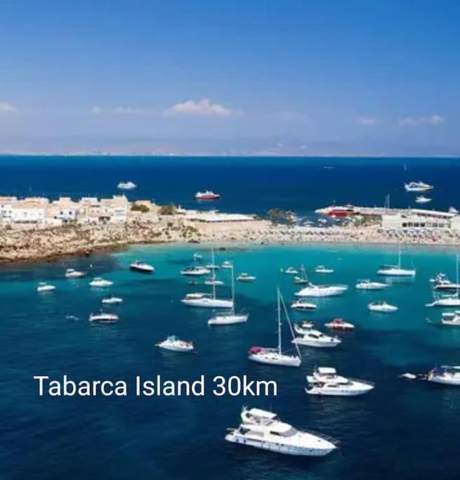 Brand New Apartment. 400 Meters Best Beach Torrevieja Eksteriør billede